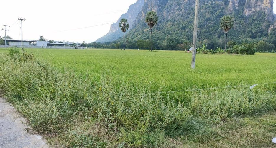 ขาย ที่ดิน ใน ชะอำ, เพชรบุรี