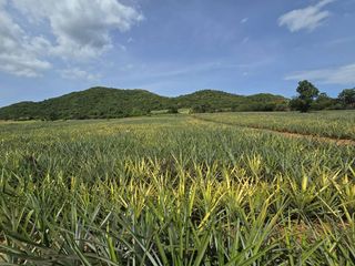 Terreno en venta en Sam Roi Yot, Prachuap Khiri Khan