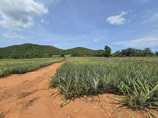 Terreno en venta en Sam Roi Yot, Prachuap Khiri Khan