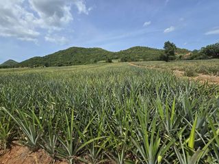 Terreno en venta en Sam Roi Yot, Prachuap Khiri Khan