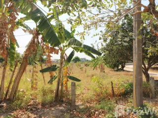 For sale land in Mueang Khon Kaen, Khon Kaen