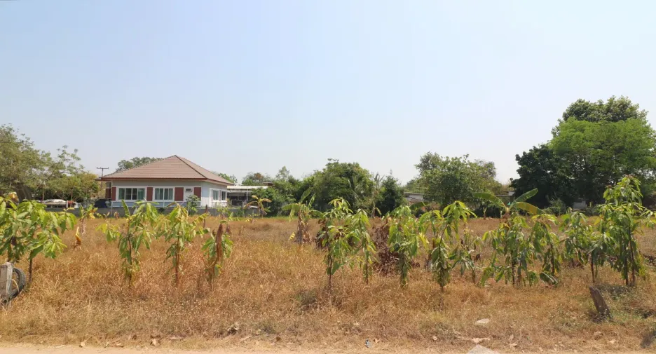 For sale land in Mueang Khon Kaen, Khon Kaen