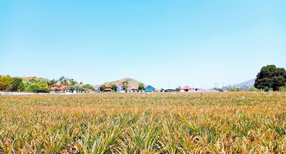 出售 土地 在 Pran Buri, 班武里府