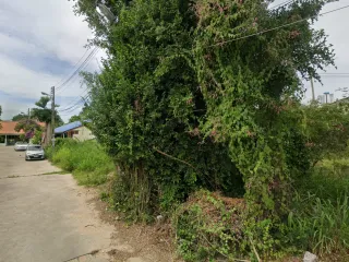 À vendre terrain à Bang Lamung, Chonburi