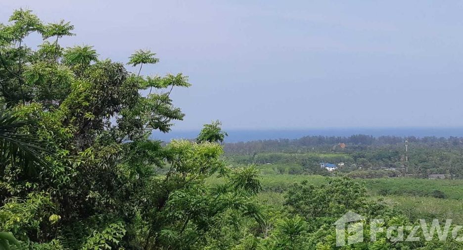 For sale land in Thalang, Phuket