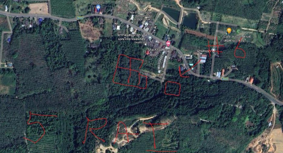 For sale land in Thalang, Phuket