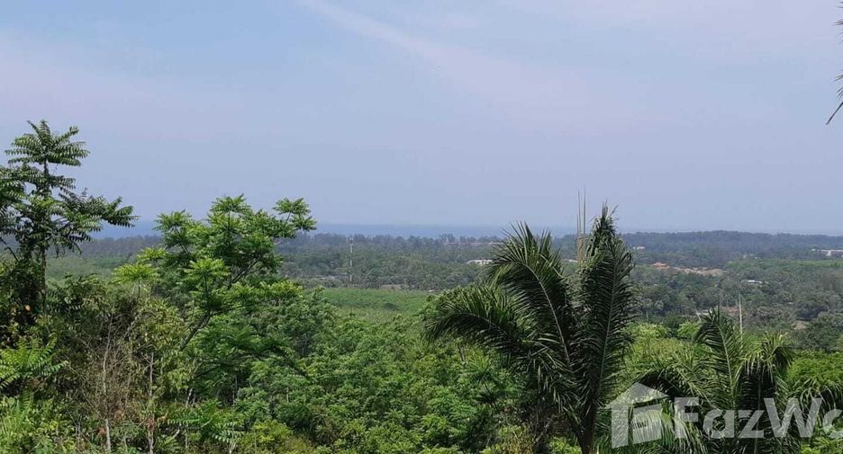 For sale land in Thalang, Phuket