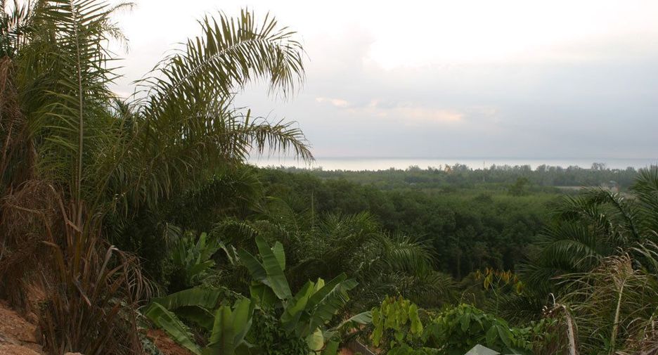 For sale land in Thalang, Phuket