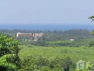 For sale land in Thalang, Phuket