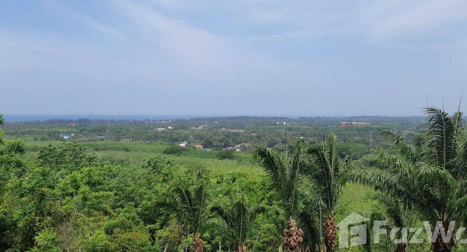 For sale land in Thalang, Phuket