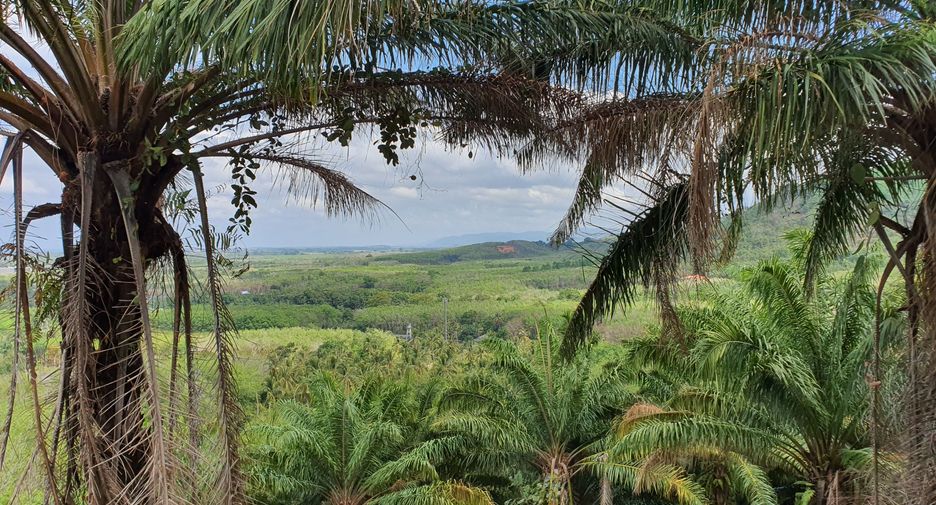 For sale land in Thalang, Phuket