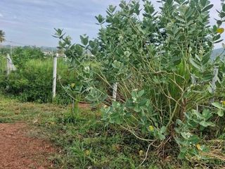 For sale land in Hua Hin, Prachuap Khiri Khan