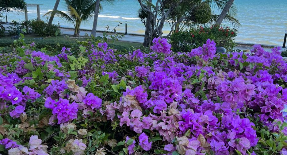 Wohnung zum Kauf mit Studio in Hua Hin, Prachuap Khiri Khan