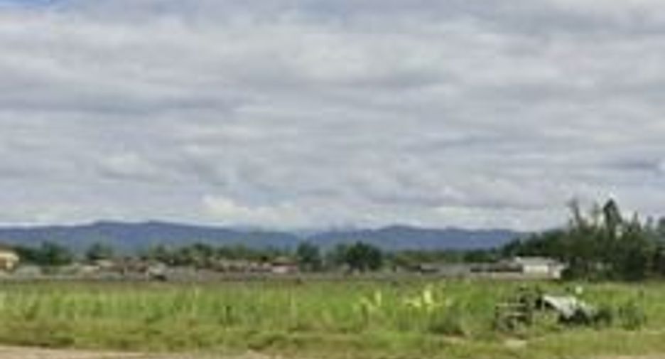 For sale land in Chiang Khong, Chiang Rai
