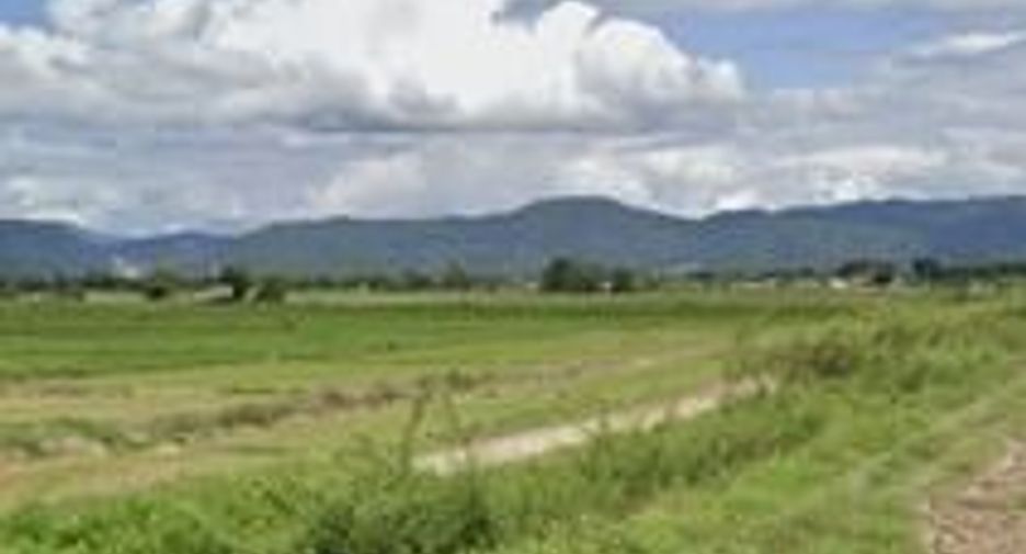 For sale land in Chiang Khong, Chiang Rai