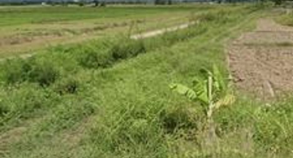 For sale land in Chiang Khong, Chiang Rai