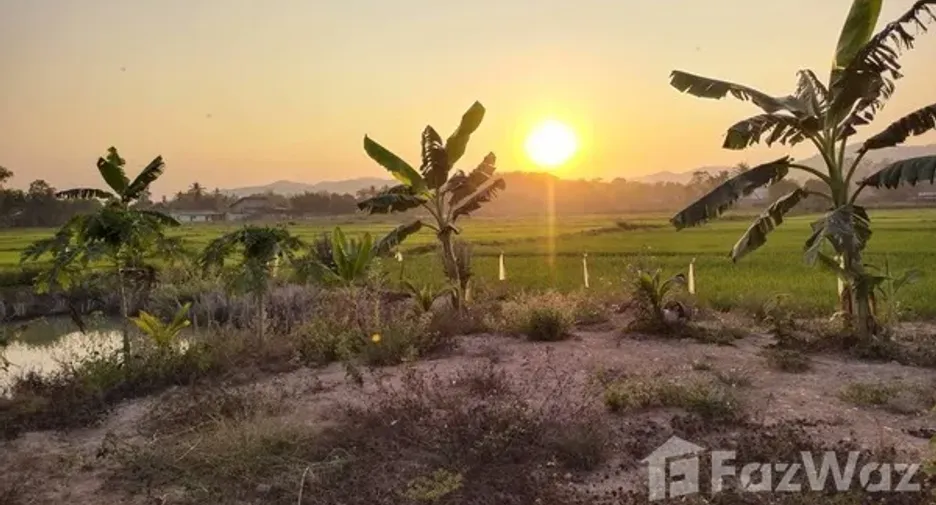 For sale land in Chiang Khong, Chiang Rai