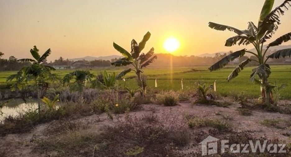 For sale land in Chiang Khong, Chiang Rai