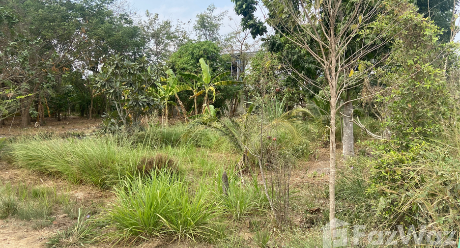Grundstück zum Kauf in Hua Hin, Prachuap Khiri Khan