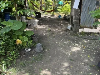 For sale land in Thalang, Phuket