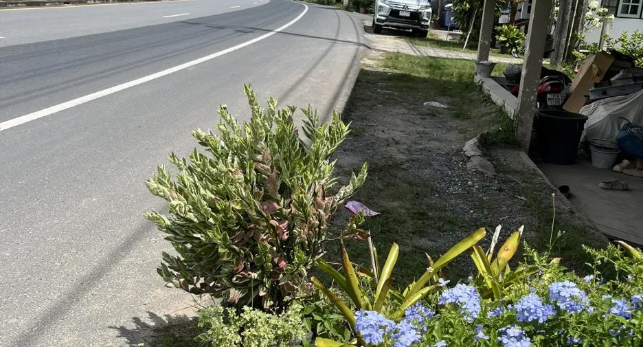 For sale land in Thalang, Phuket