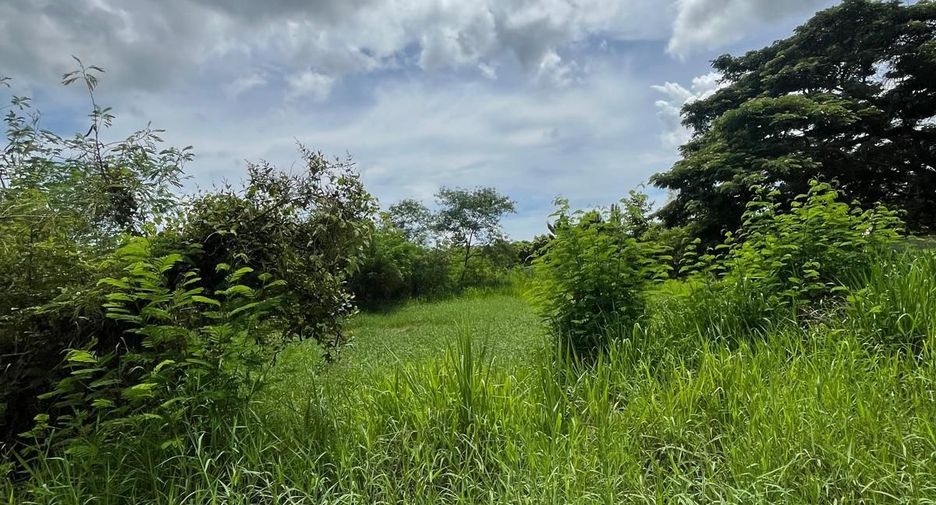 For sale land in Hua Hin, Prachuap Khiri Khan