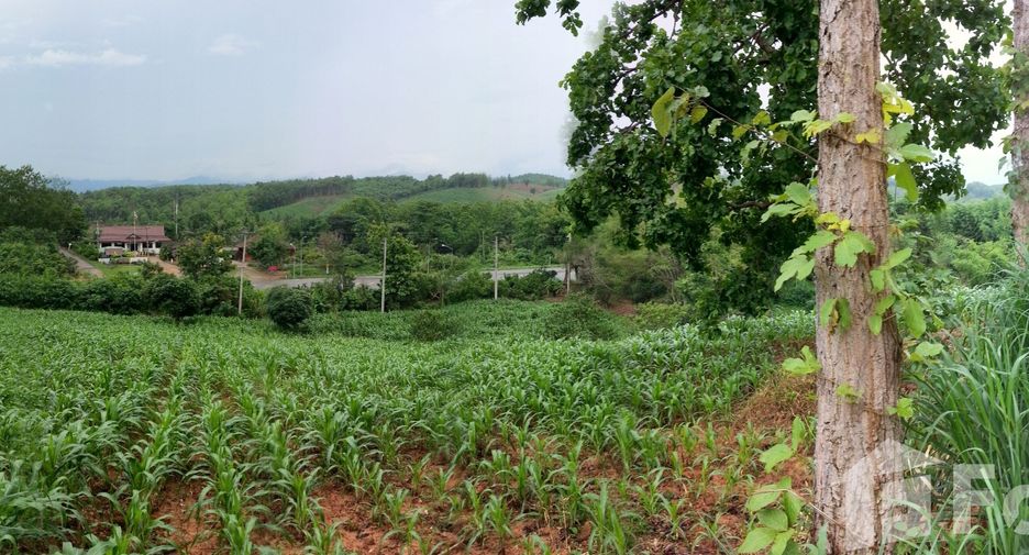 For sale land in Thung Chang, Nan