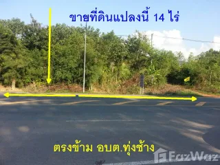 For sale land in Thung Chang, Nan