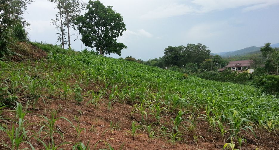 For sale land in Thung Chang, Nan