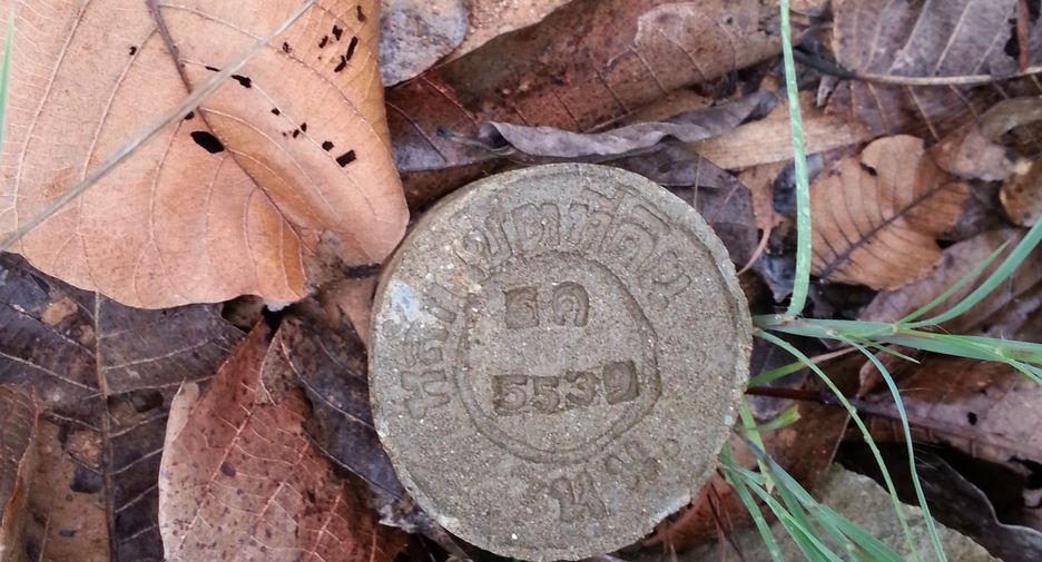 For sale land in Thung Chang, Nan