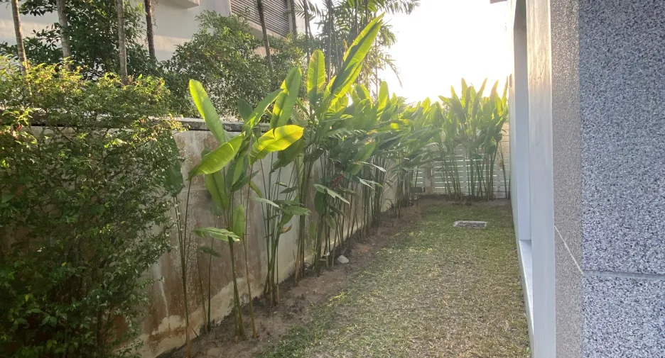 For sale and for rent 3 bedrooms townhouse in Mueang Phuket, Phuket
