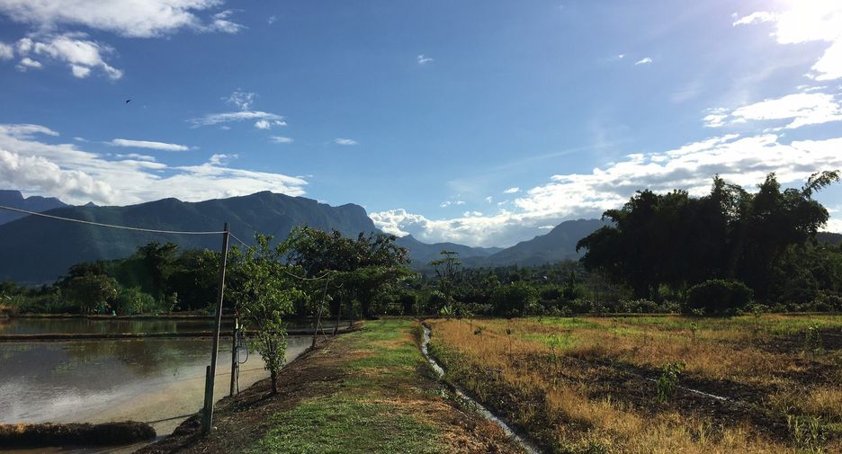 For sale 5 bedrooms house in Chiang Dao, Chiang Mai