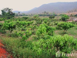 For sale 5 bedrooms house in Chiang Dao, Chiang Mai