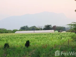 For sale 5 bedrooms house in Chiang Dao, Chiang Mai