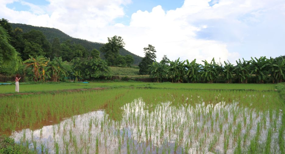 For sale 5 bedrooms house in Chiang Dao, Chiang Mai