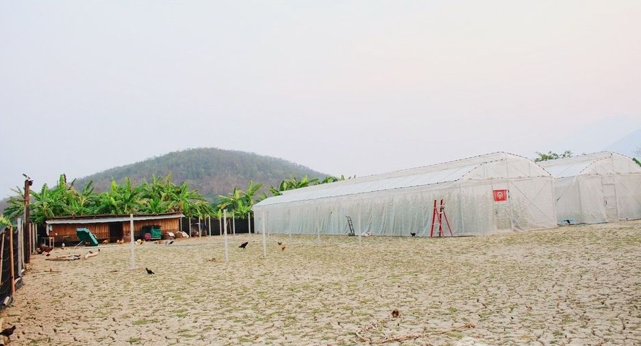 For sale 5 bedrooms house in Chiang Dao, Chiang Mai