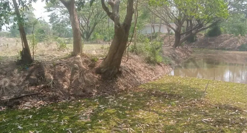 Продажа Участок в Mueang Lampang, Lampang