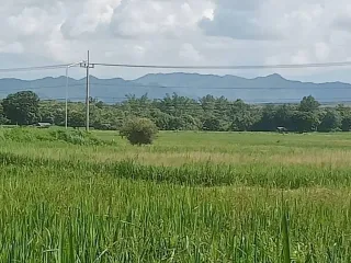 Grundstück zum Kauf in Mueang Lampang, Lampang