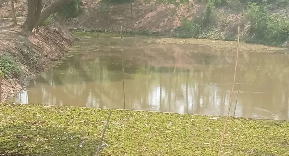 Продажа Участок в Mueang Lampang, Lampang