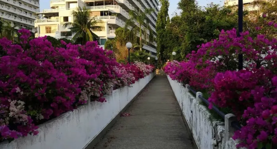 For rent 1 bed condo in Bang Lamung, Chonburi