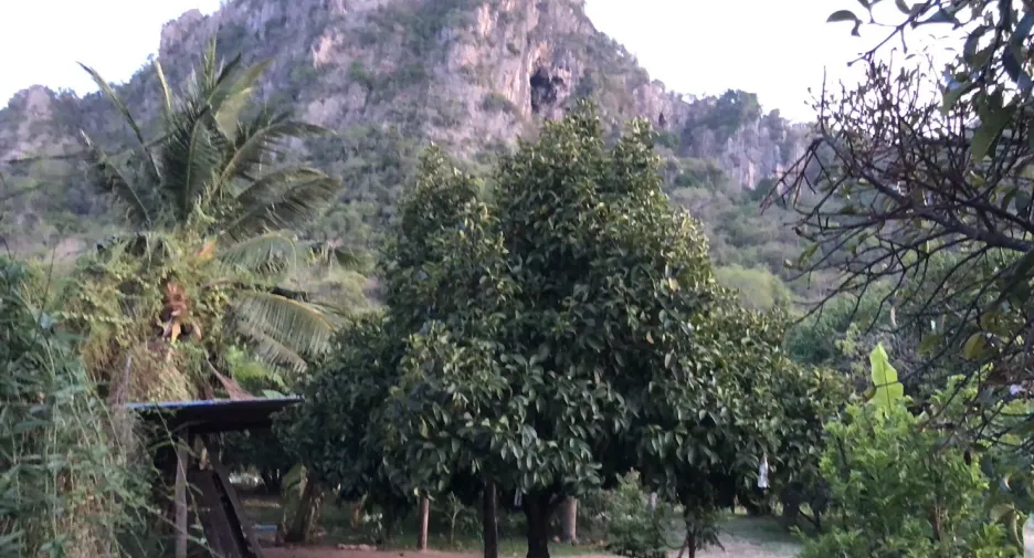 ขาย ที่ดิน ใน ชะอำ, เพชรบุรี