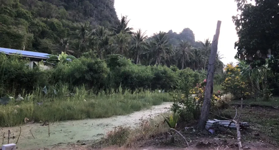 ขาย ที่ดิน ใน ชะอำ, เพชรบุรี