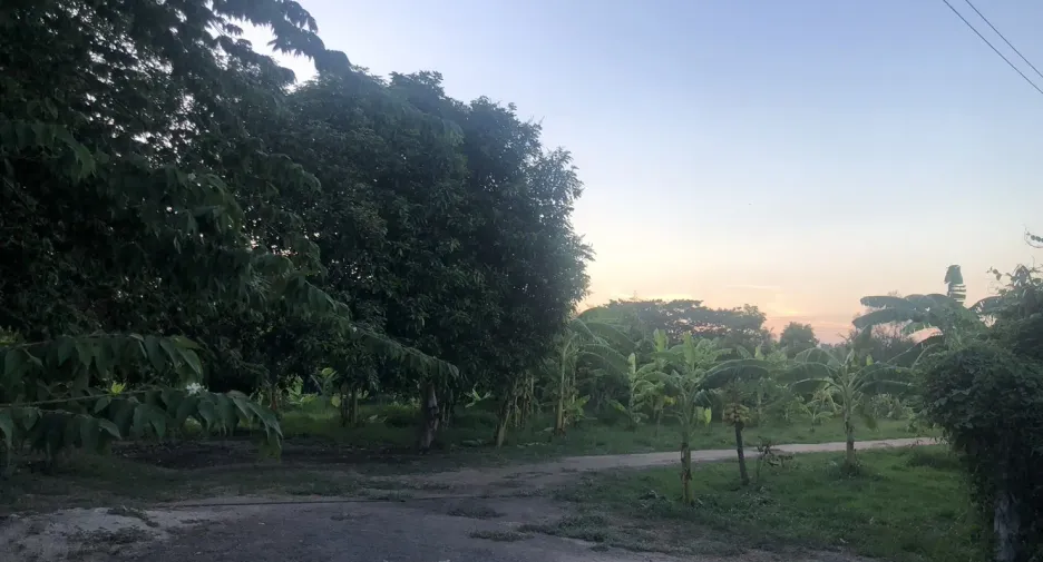 ขาย ที่ดิน ใน ชะอำ, เพชรบุรี