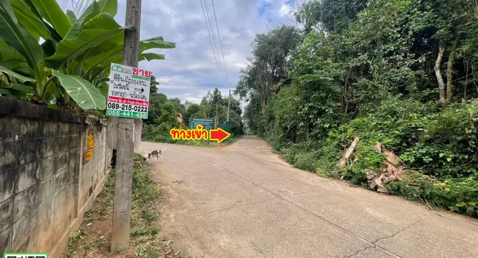 For sale land in Laplae, Uttaradit