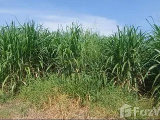 Продажа Участок в Хуахин, Прачуапкхирикхан