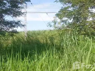 Продажа Участок в Хуахин, Прачуапкхирикхан