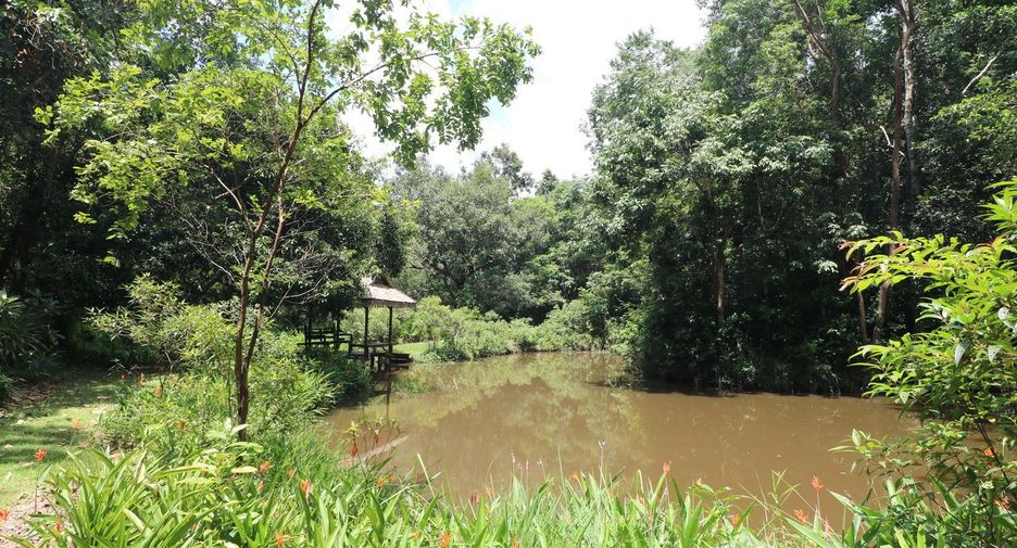 For sale land in Tha Uthen, Nakhon Phanom
