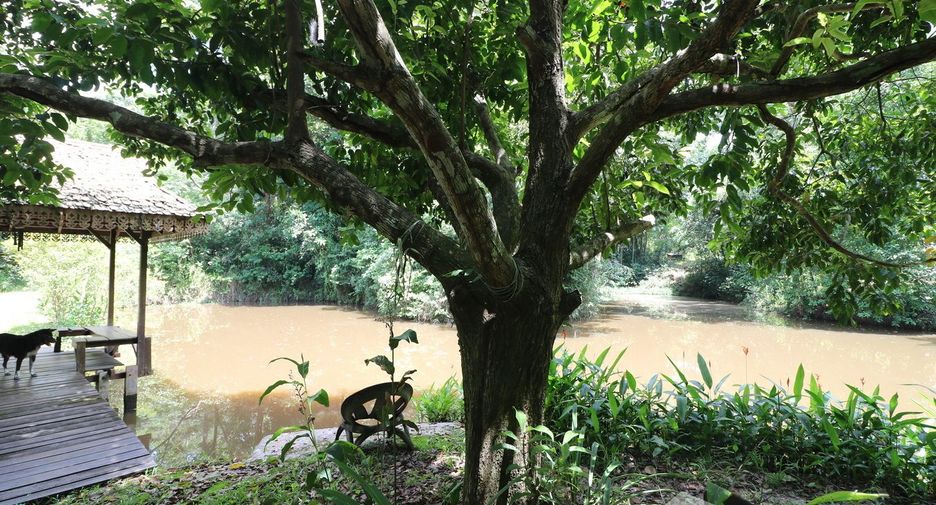 For sale land in Tha Uthen, Nakhon Phanom