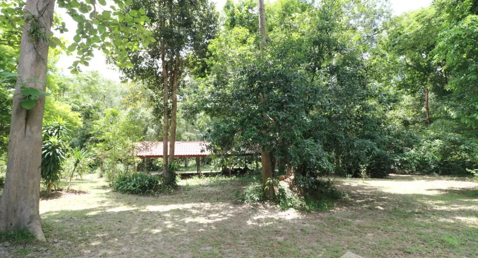 For sale land in Tha Uthen, Nakhon Phanom