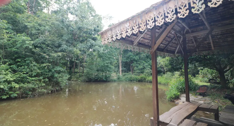 For sale land in Tha Uthen, Nakhon Phanom